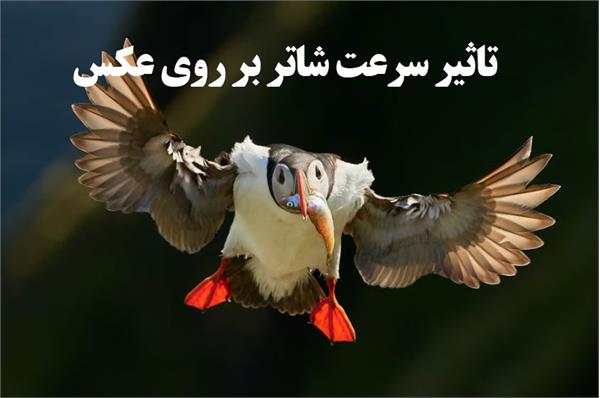 تاثیر سرعت شاتر بر روی عکس